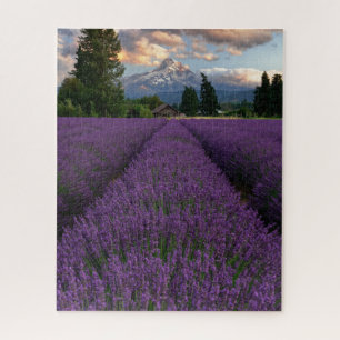 Oregon Lavender Field die de Hood van de Band over Legpuzzel
