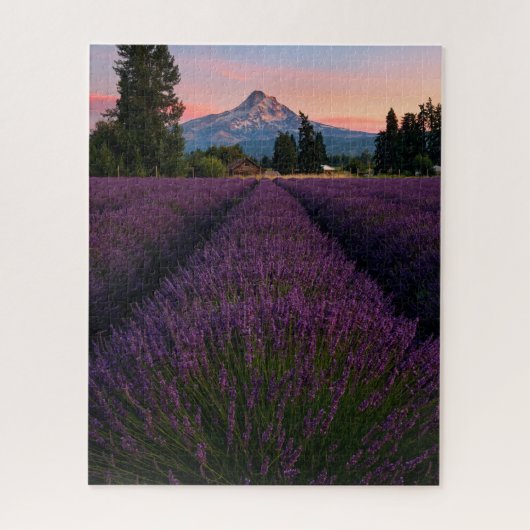 Oregon Lavender Field die de Hood van de Band over Legpuzzel (Verticaal)