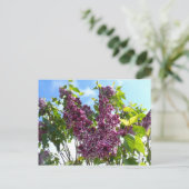 Oregon Lilacs Briefkaart (Staand voorkant)