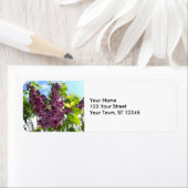 Oregon Lilacs Etiket (Insitu)