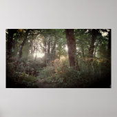 Oregon Magic - Poster (Voorkant)