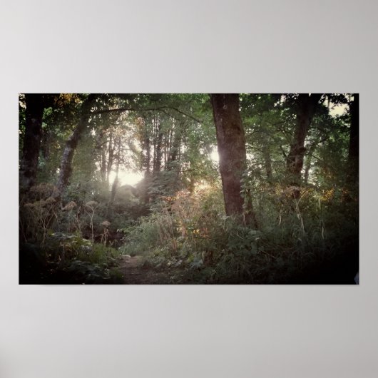 Oregon Magic - Poster (Voorkant)