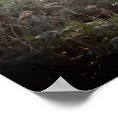 Oregon Magic - Poster (Hoek)