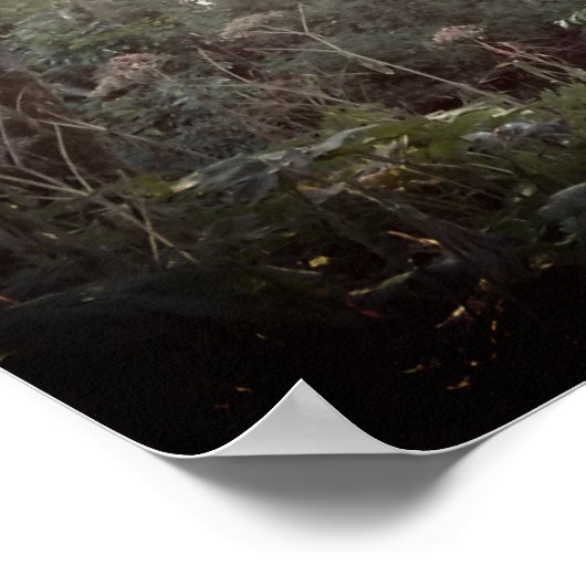 Oregon Magic - Poster (Hoek)