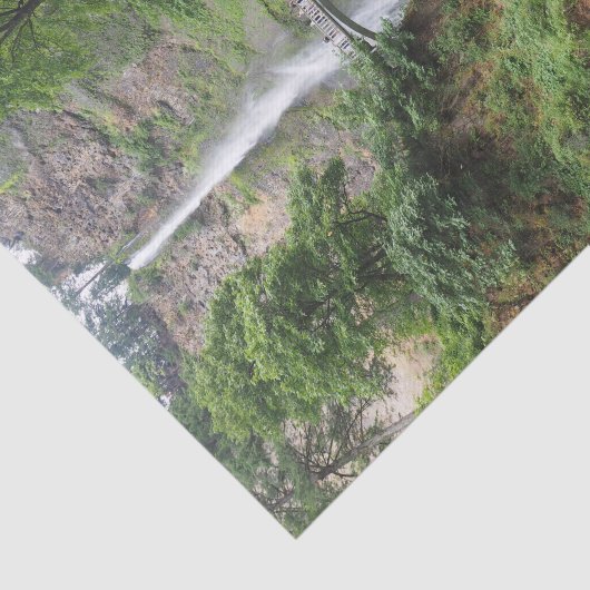 Oregon Multnomah Herfsten Foto Tissuepapier (Detail)