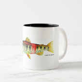 Oregon Redband Trout; Mok (Voorkant rechts)