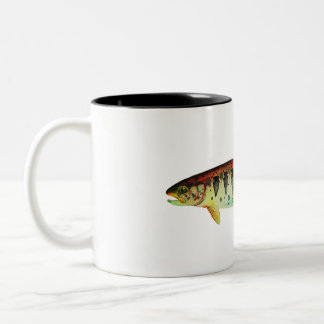 Oregon Redband Trout; Mok