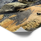 Oregon Rocky Beach Poster (Hoek)