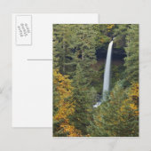 Oregon, Silver Falls State Park, North Falls Briefkaart (Voorkant / Achterkant)