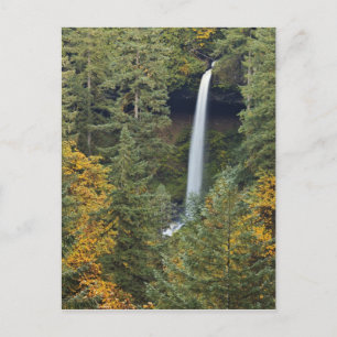 Oregon, Silver Falls State Park, North Falls Briefkaart