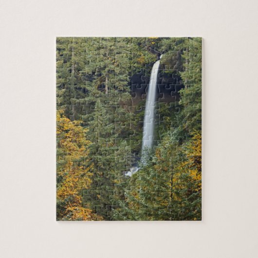 Oregon, Silver Falls State Park, North Falls Legpuzzel (Verticaal)