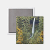 Oregon, Silver Falls State Park, North Falls Magneet (Voorkant / Achterkant)