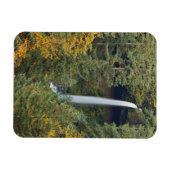 Oregon, Silver Falls State Park, North Falls Magneet (Horizontaal)