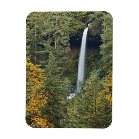 Oregon, Silver Falls State Park, North Falls Magneet (Verticaal)