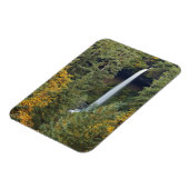 Oregon, Silver Falls State Park, North Falls Magneet (Linkerzijde)