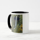Oregon, Silver Falls State Park, North Falls Mok (Voorkant links)