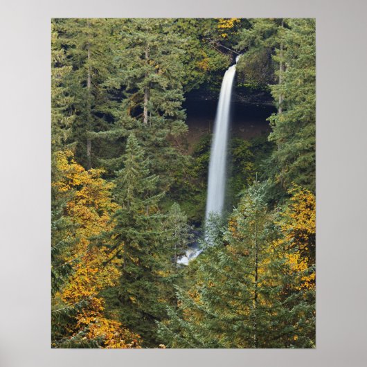 Oregon, Silver Falls State Park, North Falls Poster (Voorkant)