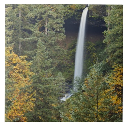 Oregon, Silver Falls State Park, North Falls Tegeltje (Voorkant)