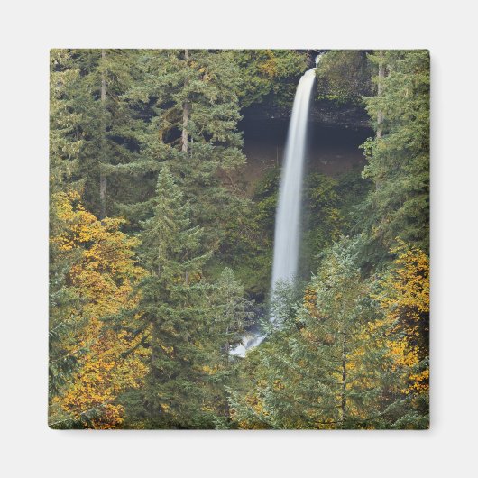 Oregon, Silver Herfsten State Park, Noord-Herfsten Magneet (Voorkant)