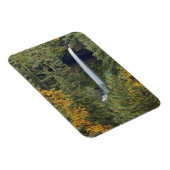 Oregon, Silver Herfsten State Park, Noord-Herfsten Magneet (Rechterzijde)