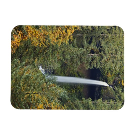 Oregon, Silver Herfsten State Park, Noord-Herfsten Magneet (Horizontaal)
