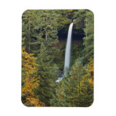 Oregon, Silver Herfsten State Park, Noord-Herfsten Magneet (Verticaal)
