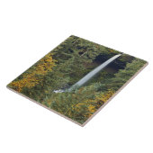 Oregon, Silver Herfsten State Park, Noord-Herfsten Tegeltje (Zijkant)