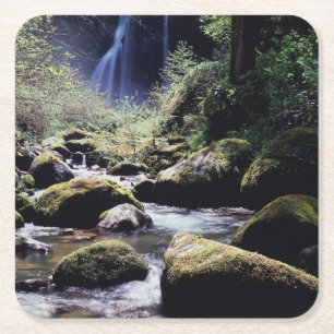 Oregon, Siskiyou National Forest, Elk Creek Kartonnen Onderzetters