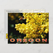 Oregon State Flower: Oregon Grape Briefkaart (Voorkant / Achterkant)