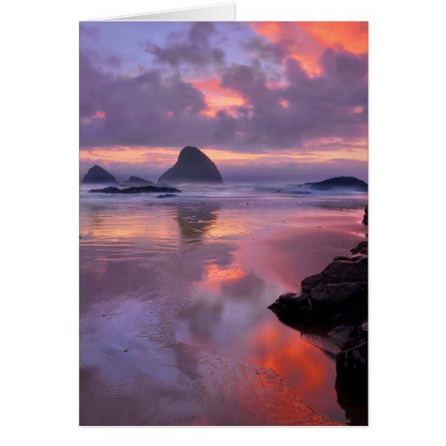 Oregon strand en zee-stapels, zonsondergang (Voorkant)
