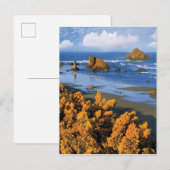 Oregon strand uitzicht in Bandon Briefkaart (Voorkant / Achterkant)
