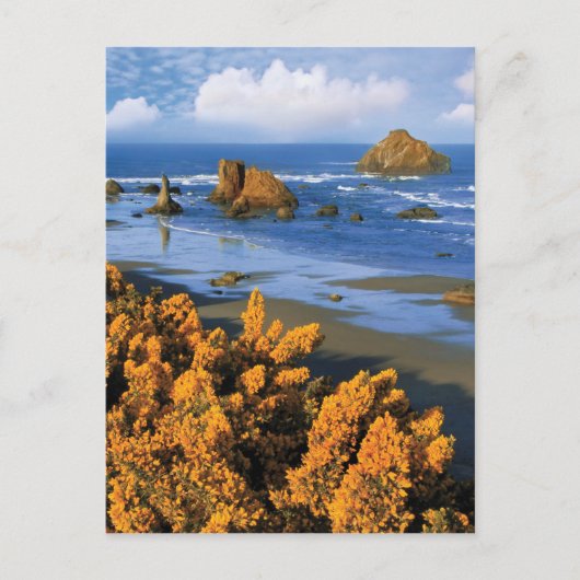 Oregon strand uitzicht in Bandon Briefkaart (Voorkant)