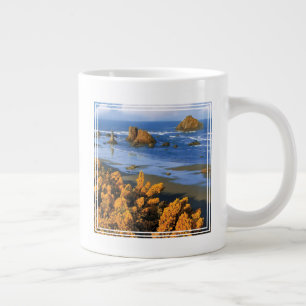 Oregon strand uitzicht in Bandon Grote Koffiekop