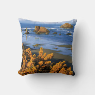 Oregon strand uitzicht in Bandon Kussen
