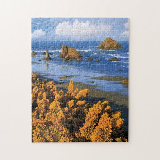 Oregon strand uitzicht in Bandon Legpuzzel (Verticaal)
