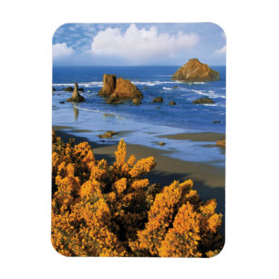 Oregon strand uitzicht in Bandon Magneet