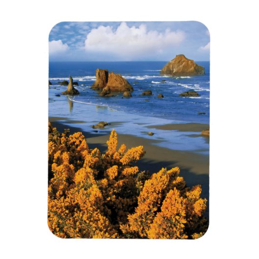 Oregon strand uitzicht in Bandon Magneet (Verticaal)