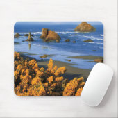 Oregon strand uitzicht in Bandon Muismat (Met muis)