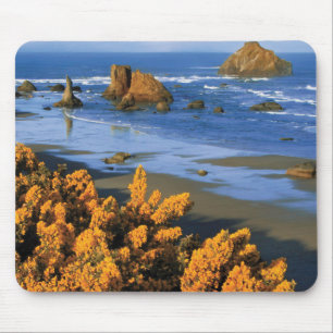 Oregon strand uitzicht in Bandon Muismat