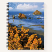Oregon strand uitzicht in Bandon Notitieboek (Voorkant)