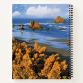 Oregon strand uitzicht in Bandon Notitieboek (Achterkant)