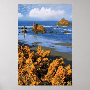 Oregon strand uitzicht in Bandon Poster