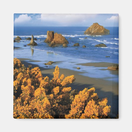 Oregon strandzicht in Bandon Magneet (Voorkant)