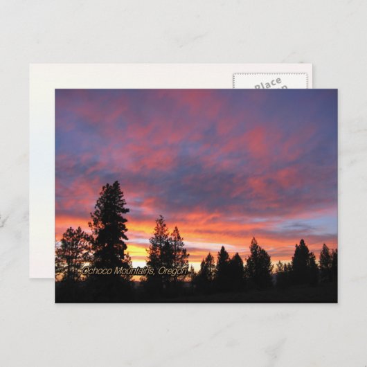 Oregon Sunset Briefkaarten (Voorkant / Achterkant)