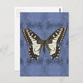 Oregon Swallowtail Butterfly Briefkaart (Voorkant / Achterkant)