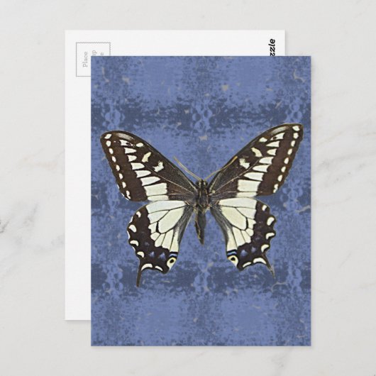Oregon Swallowtail Butterfly Briefkaart (Voorkant / Achterkant)