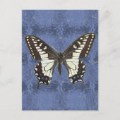 Oregon Swallowtail Butterfly Briefkaart (Voorkant)