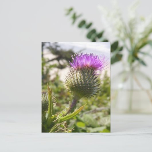 Oregon Thistles Briefkaart (Staand voorkant)