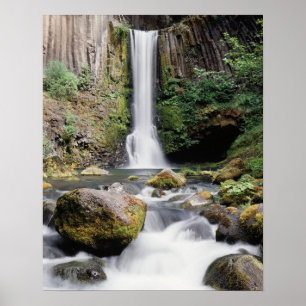 Oregon, Toketee Falls en basaltgesteenten Poster