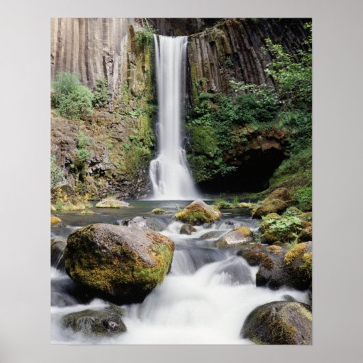 Oregon, Toketee Falls en basaltgesteenten Poster (Voorkant)